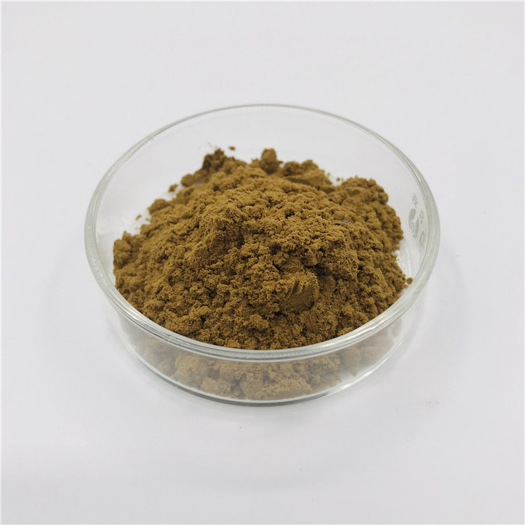 High Quality Nature olive leaf extract maslinic acid