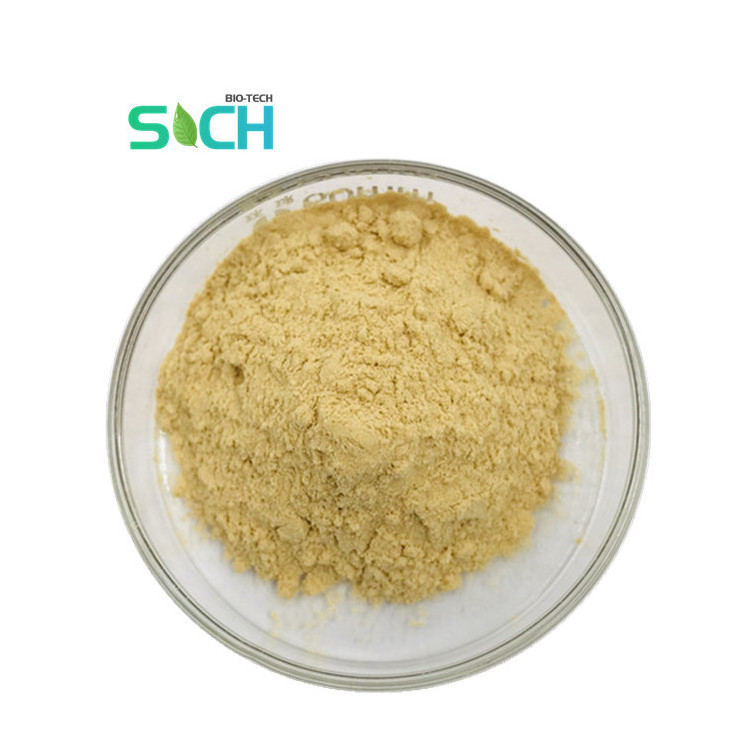 Wholesale Food Grade Beta-glucan Yeast Extract 70% 80% 90% Yeast Beta Glucan Powder