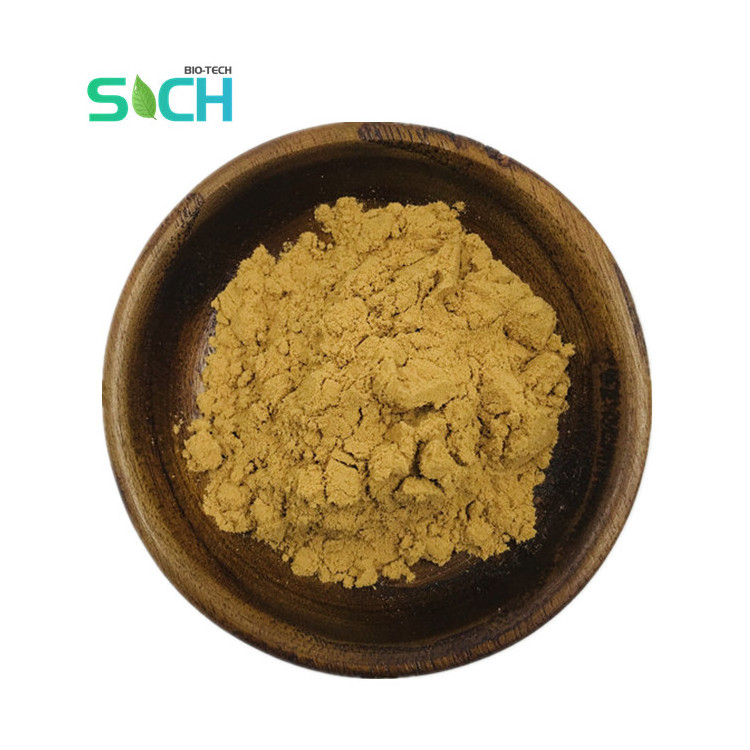 100% Natural Peach Kernel Extract Peach Seed Powder Peach Kernel Powder