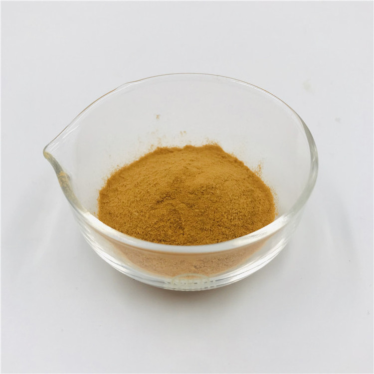 Factory Supply Shitake Mushroom Extract Lentinan Shitake Mushroom Extract AHCC Powder