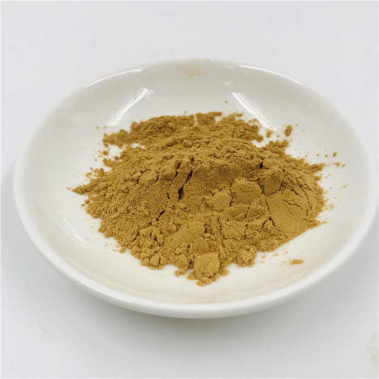 High Quality Guava Leaf Powder Free Sample Best Price Guava Leaf Extract Powder For Sale