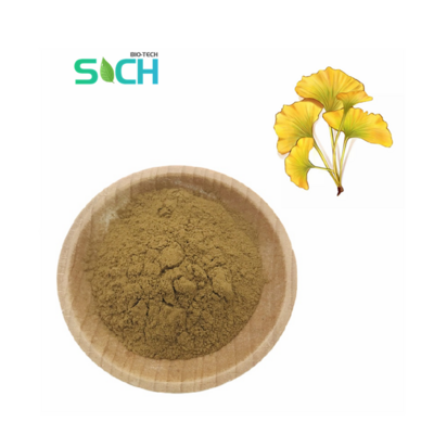 Wholesale Ginko Biloba Extract Ginkgo Leaf Extract Supplement OEM Ginkgo Biloba Extract Capsules