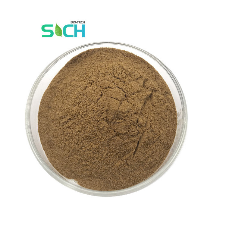 Hot Sale Eucommia Ulmoides Bark Extract Eucommia Ulmoides Leaf Extract