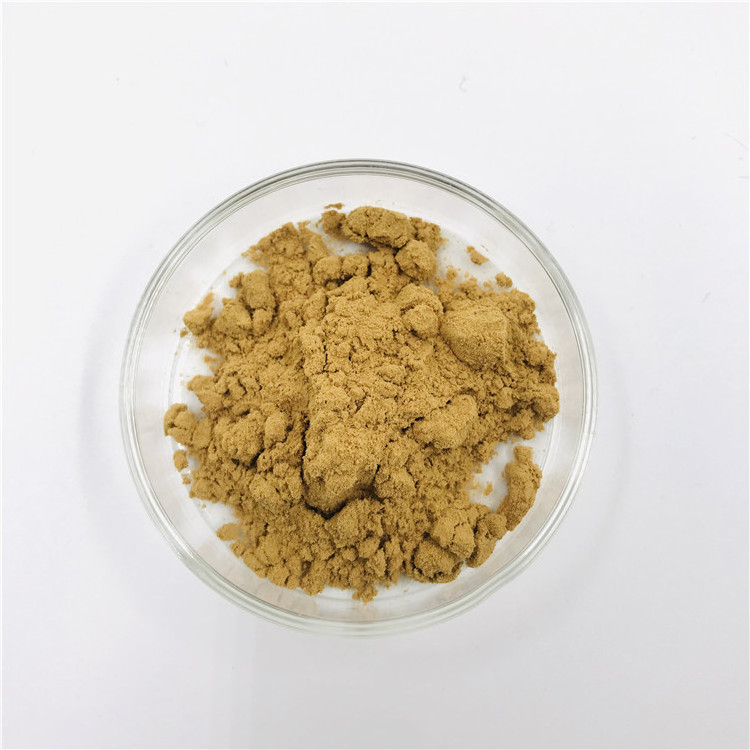 Factory Supply 10:1 Pandan Leaf Extract Powder Pure Organic Pandan Extract For Health