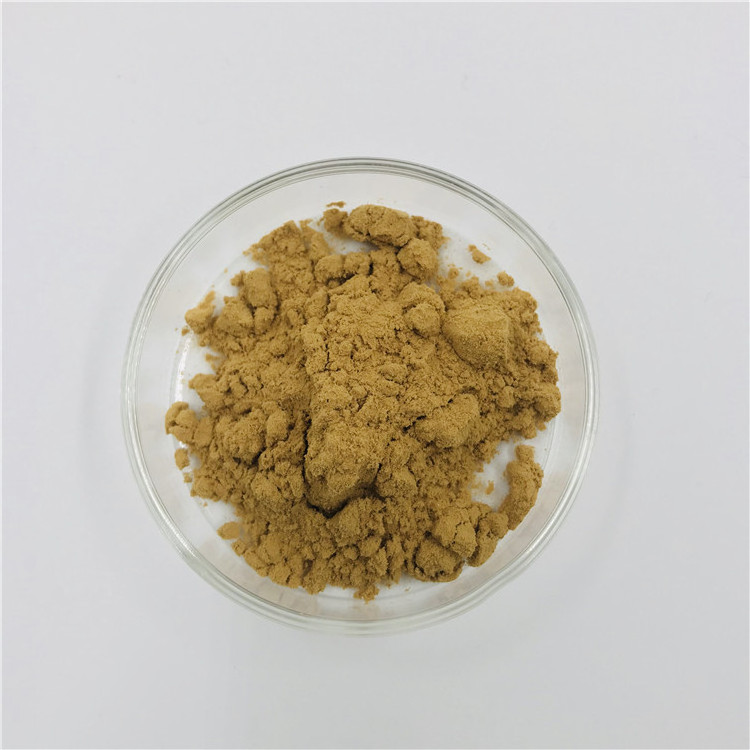 High Quality Guava Leaf Powder Free Sample Best Price Guava Leaf Extract Powder For Sale