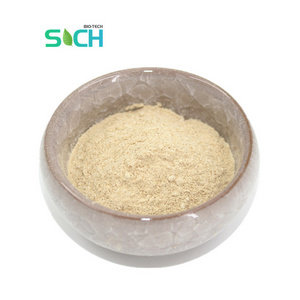 Wholesale Oat Beta Glucan Food Grade Oat Beta-glucan Powder Free Sample Oat Extract 70% Beta Glucan