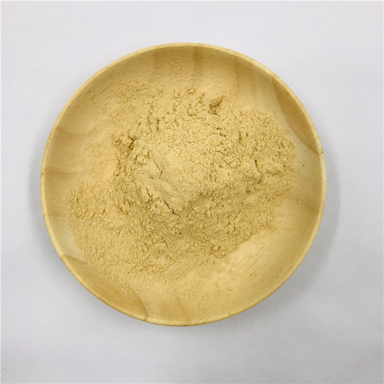 Wholesale Food Grade Beta-glucan Yeast Extract 70% 80% 90% Yeast Beta Glucan Powder