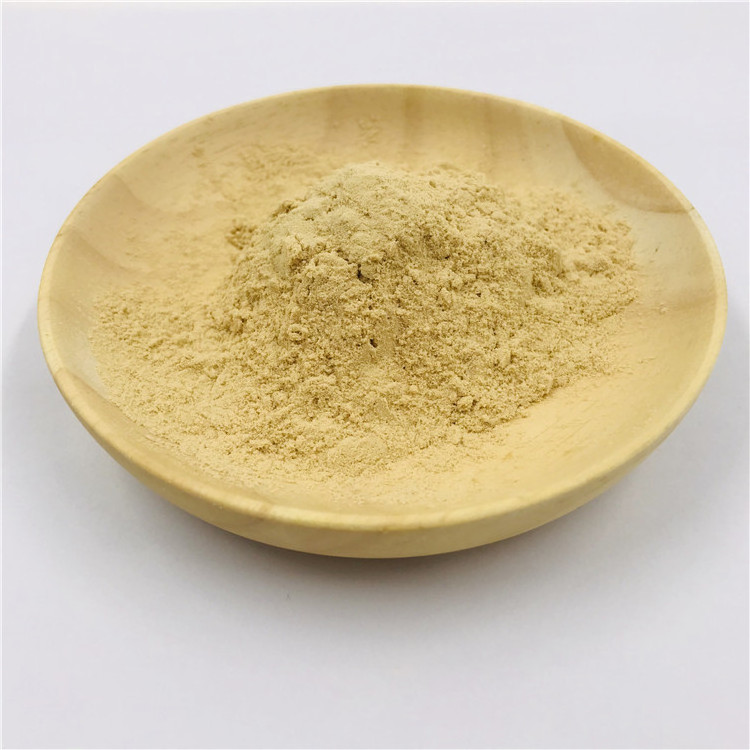 Wholesale Food Grade Beta-glucan Yeast Extract 70% 80% 90% Yeast Beta Glucan Powder