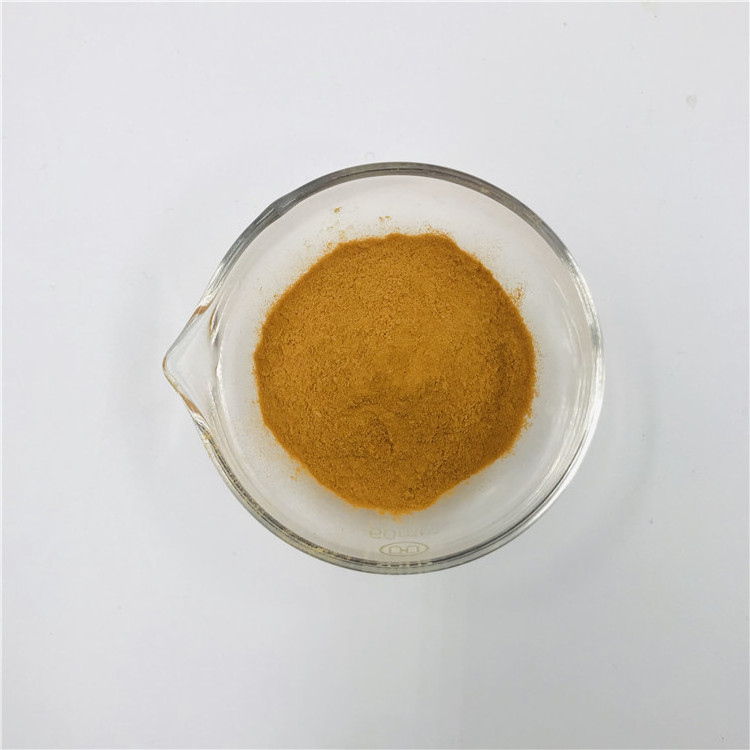 Factory Supply Shitake Mushroom Extract Lentinan Shitake Mushroom Extract AHCC Powder