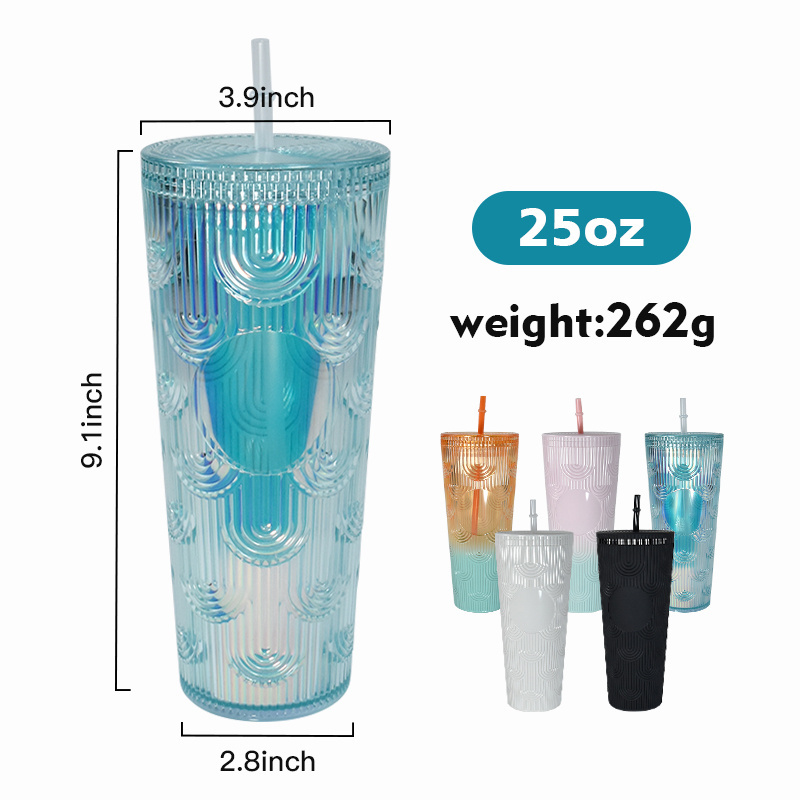 AGH Customized Wholesale 25oz Colored Double Wall Acrylic Plastic Tumbler Come with Straw and Lid