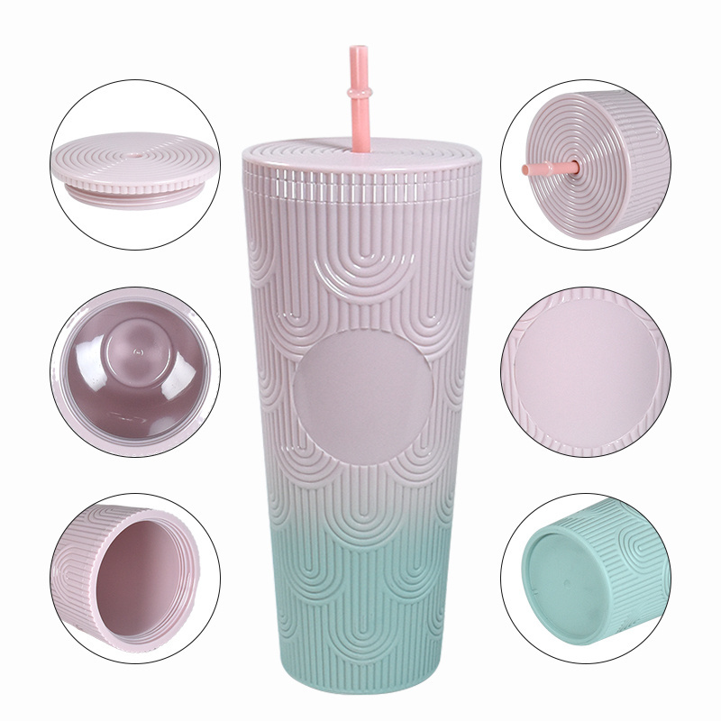 AGH Customized Wholesale 25oz Colored Double Wall Acrylic Plastic Tumbler Come with Straw and Lid