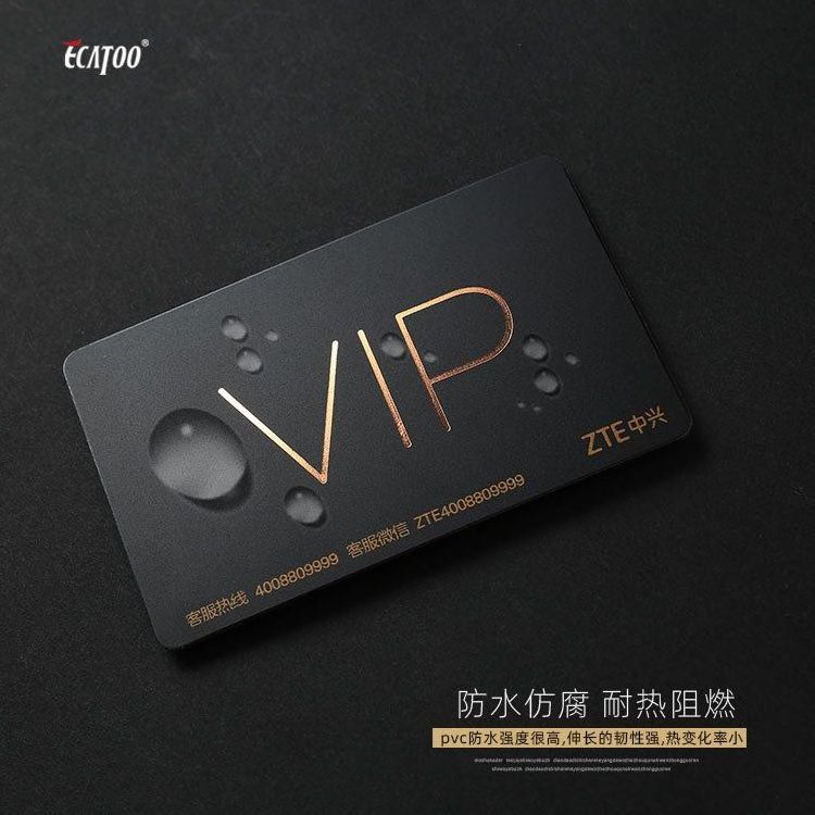 Custom  Factory Printing Cr80 Magnetic Stripe Membership Loyalty Card Vip Member Plastic Pvc Cards