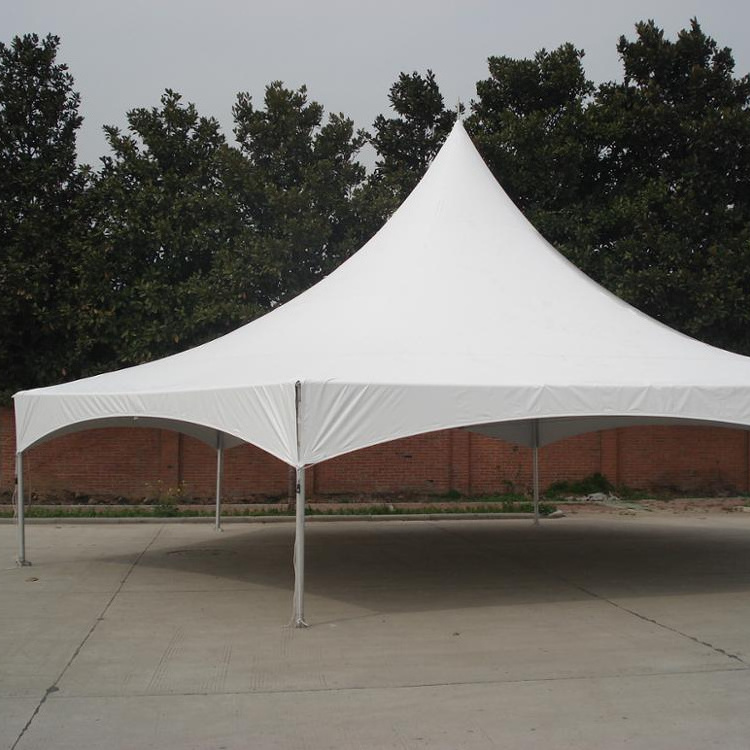 8 Meter Diameter Domo Geodesico Geodome Marquee Shelter Tent With Cafe For Backyard Event