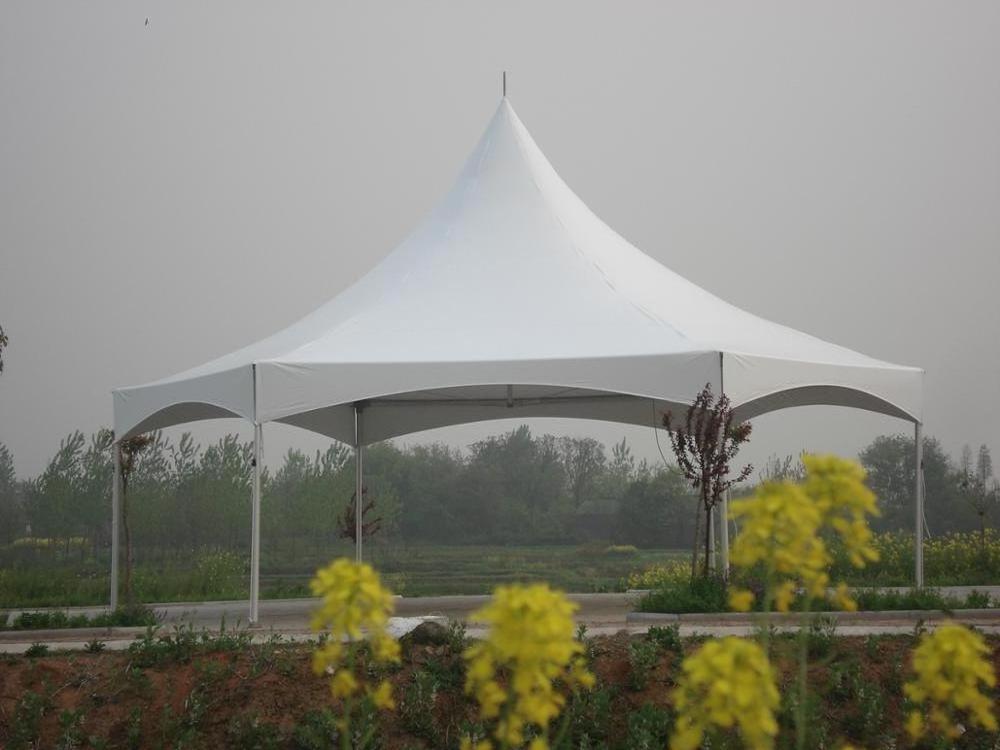 8 Meter Diameter Domo Geodesico Geodome Marquee Shelter Tent With Cafe For Backyard Event