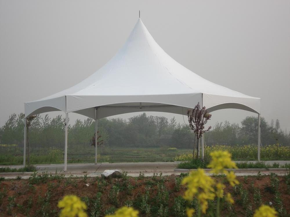 8 Meter Diameter Domo Geodesico Geodome Marquee Shelter Tent With Cafe For Backyard Event