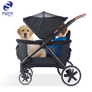 Wholesale Outdoor Portable Carry Utility Canopy Double 2 Seat Collapsible Folding Kids Baby Quad Stroller Wagon Carts With Seats