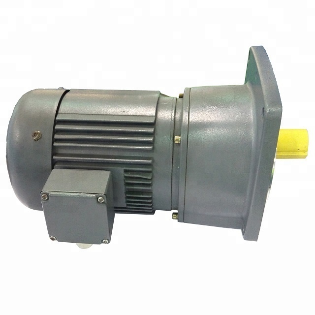 G3 Series Motoreductor G3lm-G3FM-G3ls-G3fs Helical Gearboxes