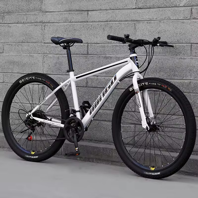 Mtbgoo new model 21 speed pocket 24 26 27.5 29 inch full suspension mountain bike 12 speed bicycle hybrid cycle mtb for women