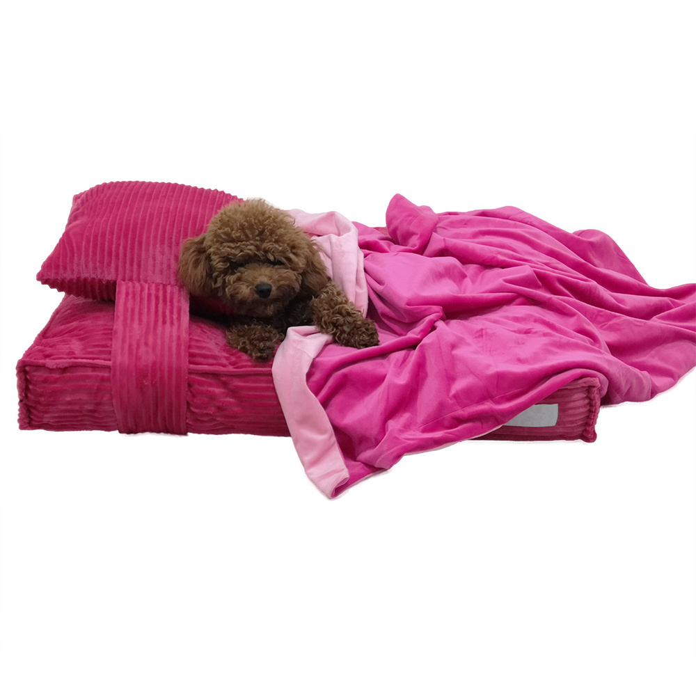 2022 Dropshipping Wholesale Removable Cover Dog Sofa Pet Luxury Cat Bed With Pillow Corduroy pet dog pillow bed