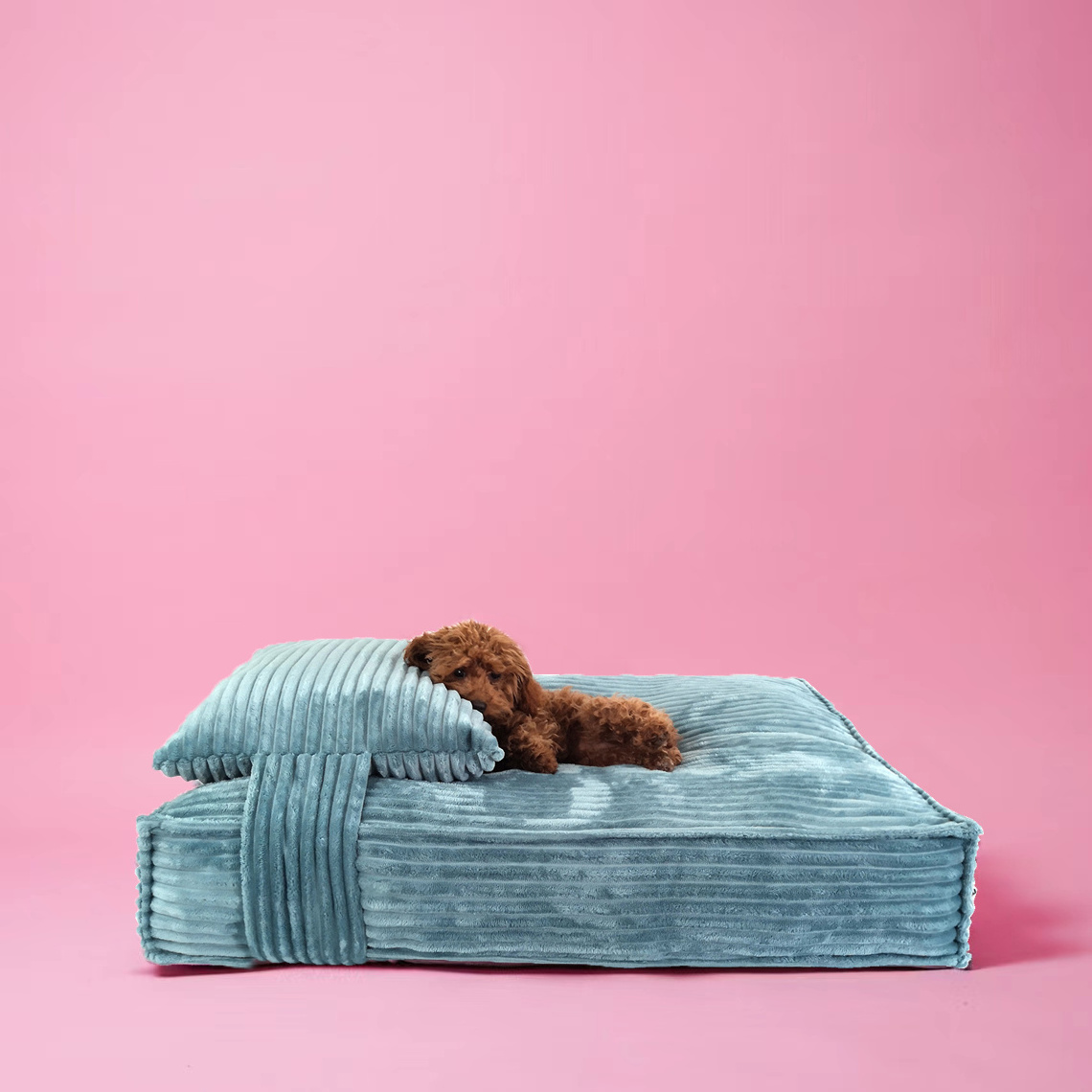 2022 Dropshipping Wholesale Removable Cover Dog Sofa Pet Luxury Cat Bed With Pillow Corduroy pet dog pillow bed