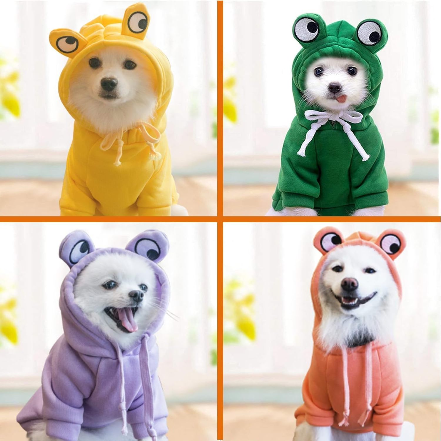 Luxury sports hooded sweatshirts pet cat and dog clothing accessories  pet supplies