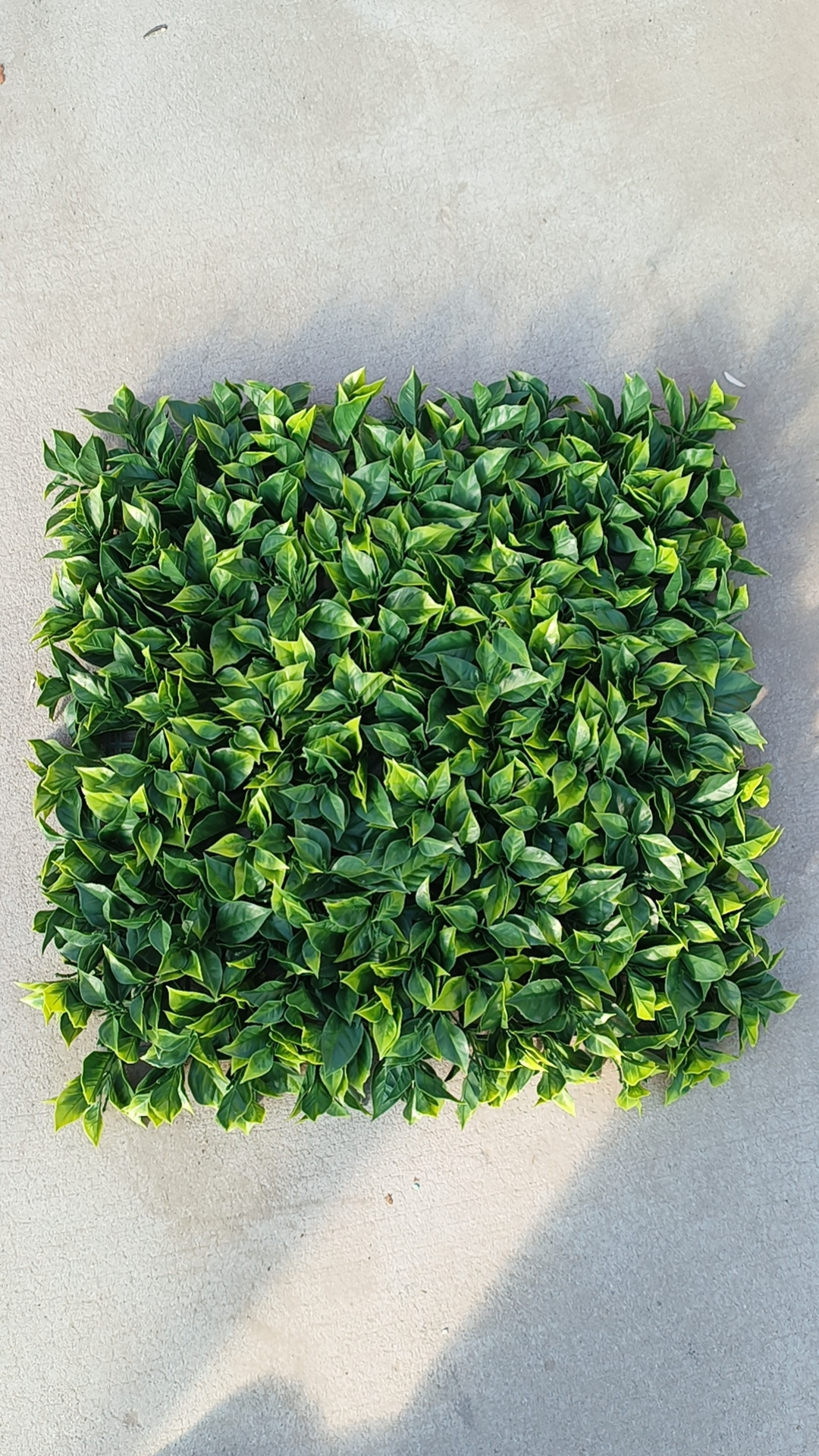 2024 Outdoor Decoration Plastic Artificial Grass Panel Boxwood Hedge Background Plant Wall for Decoration