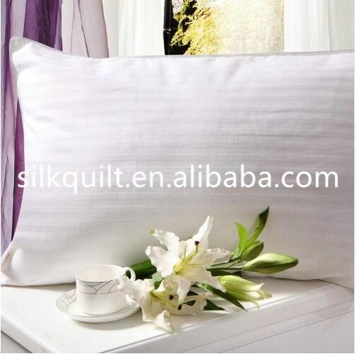 Wholesale Customized China 100% Pure Silk filled Pillow