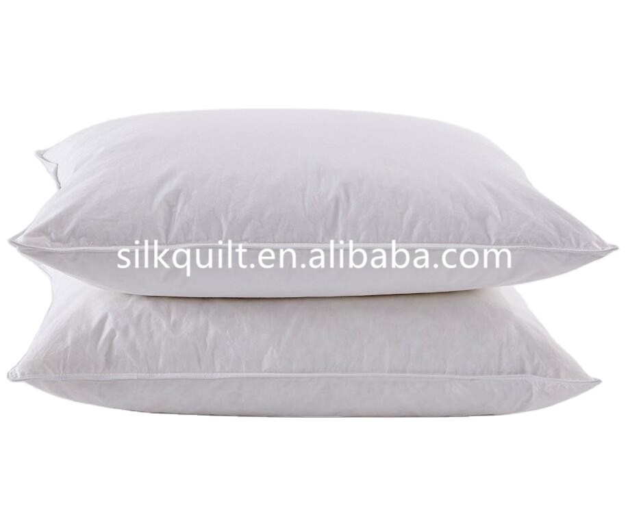 Wholesale Customized China 100% Pure Silk filled Pillow