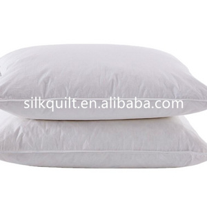 Wholesale Customized China 100% Pure Silk filled Pillow