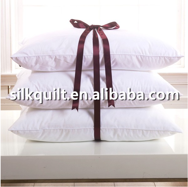 Wholesale Customized China 100% Pure Silk filled Pillow