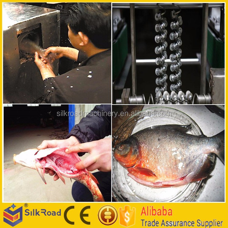 High Efficiency fish processing equipment