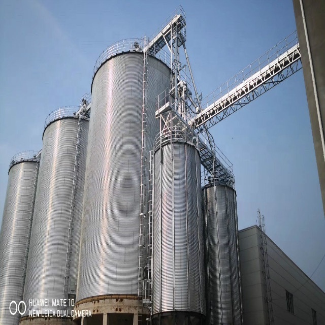 1500t / 2000t / 2500t corn / maize flat bottom storage steel silos for feed mill selling on competitive price