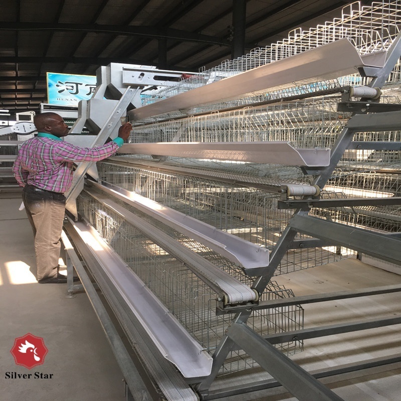 Poultry farm equipment automatic layer breeder chicken cage with pp conveyor belt