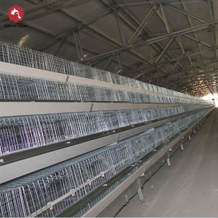 A type steel chick battery cages