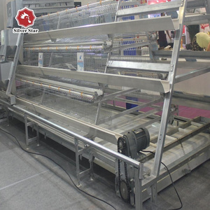 Poultry farm equipment automatic layer breeder chicken cage with pp conveyor belt