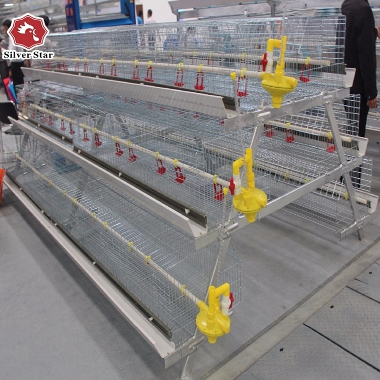 A type steel chick battery cages