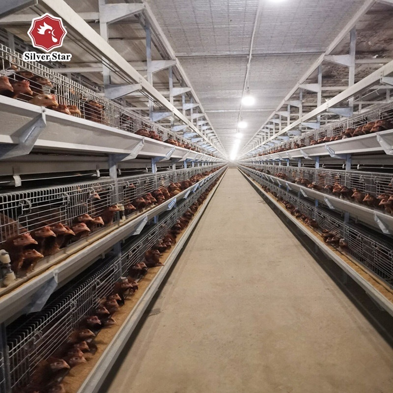 Kenya farm use H type automatic layer chicken raising equipments/layer cage for sale