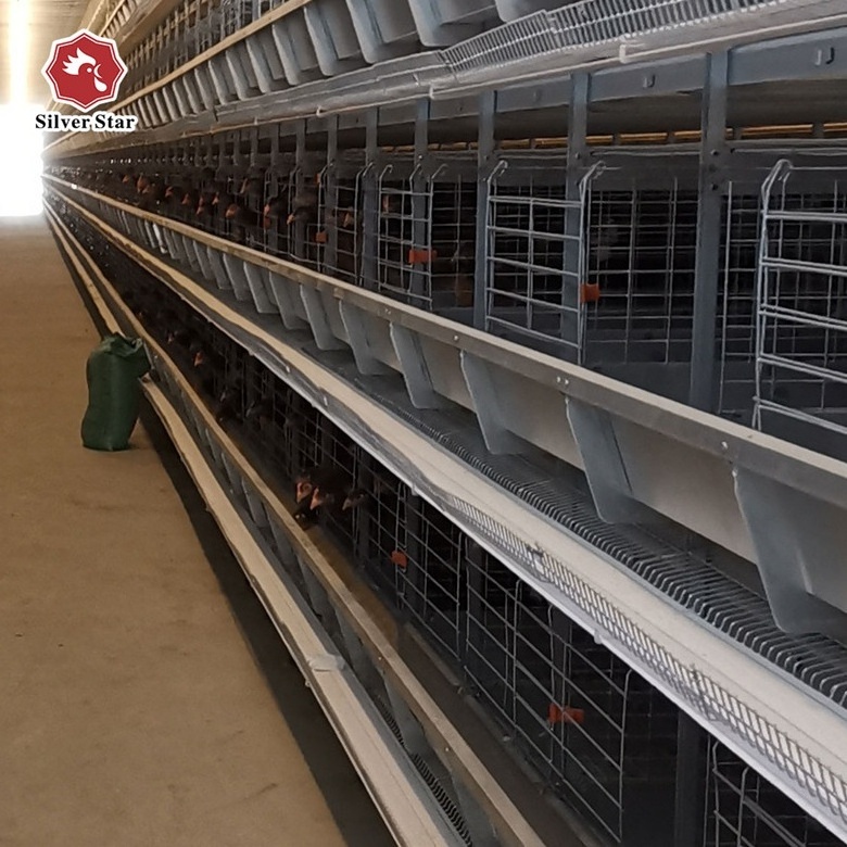 Best price PP Conveyor Chicken Layer Manure Belt for Poultry Cage