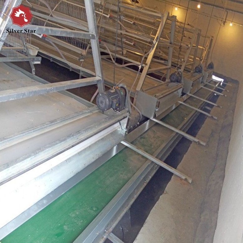 Poultry farm equipment automatic layer breeder chicken cage with pp conveyor belt