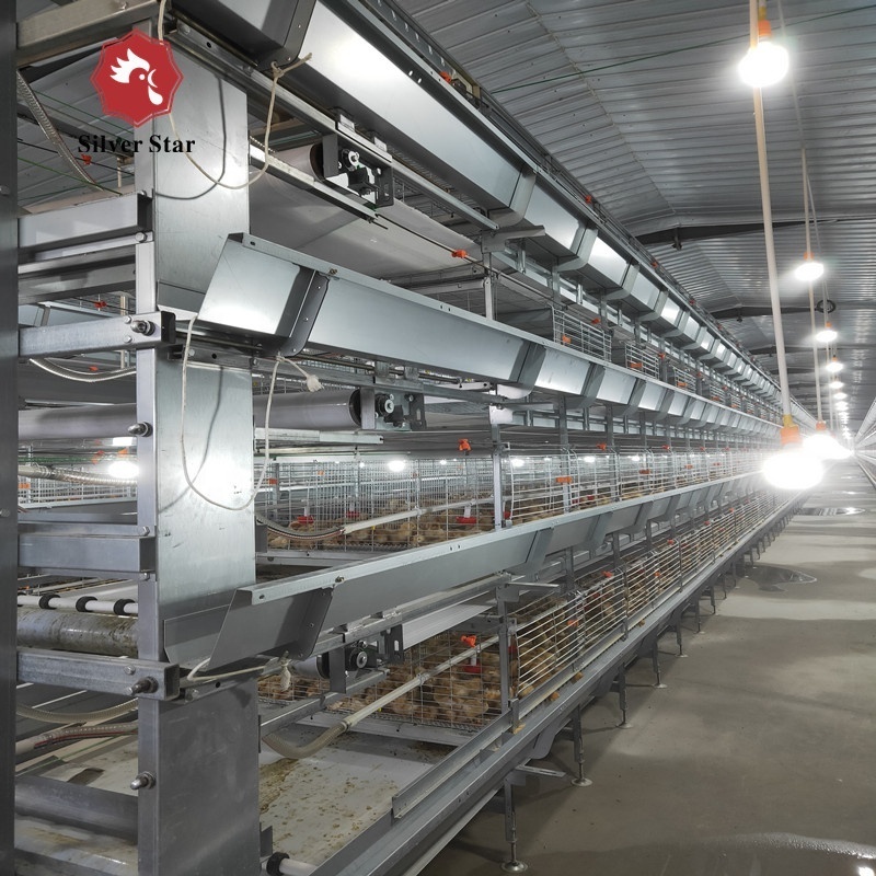 H type broiler cage/chicken cage equipment