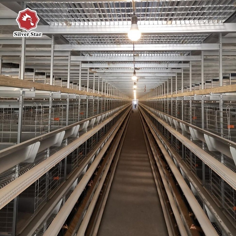 Chicken cage h type price of poultry cage/cages for laying hens used/chicken breeding equipment