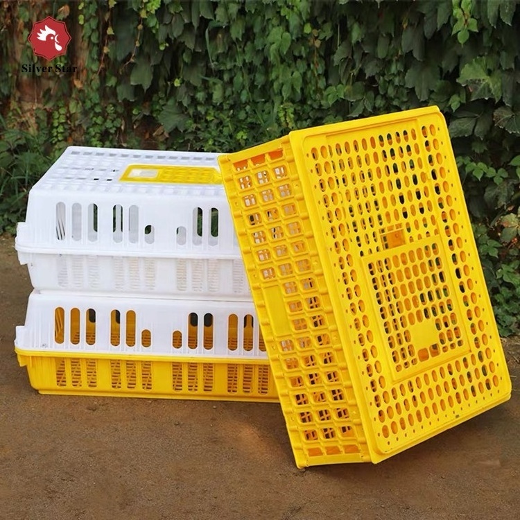 Strong Load-Bearing Plastic Poultry Quail Pigeon Transportation Cage for Sale in Philippines