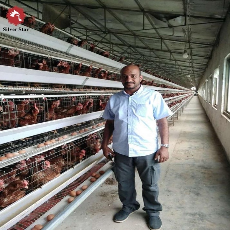 Poultry farm egg layer chicken battery cages/Metal chicken coops for sale