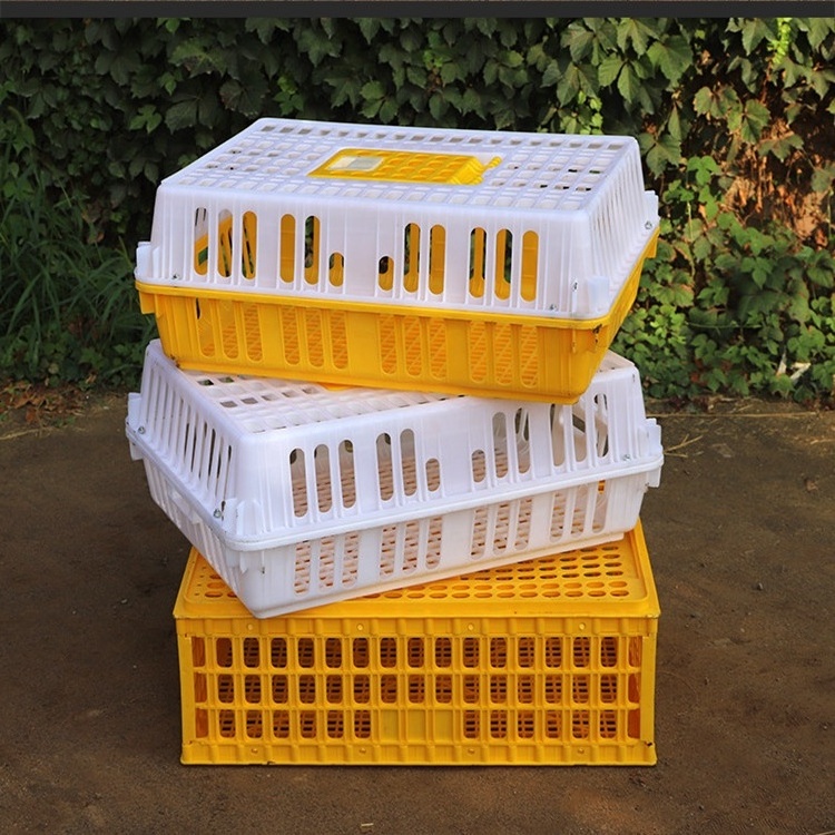 Strong Load-Bearing Plastic Poultry Quail Pigeon Transportation Cage for Sale in Philippines