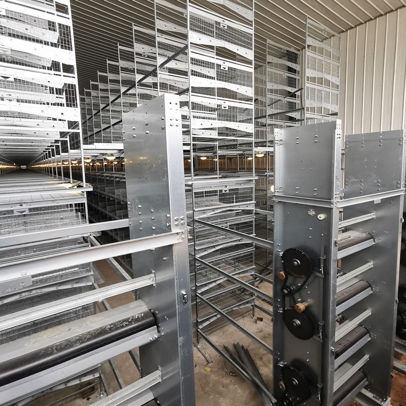 Kenya farm use H type automatic layer chicken raising equipments/layer cage for sale