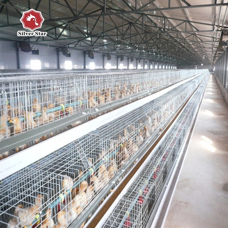 A type steel chick battery cages