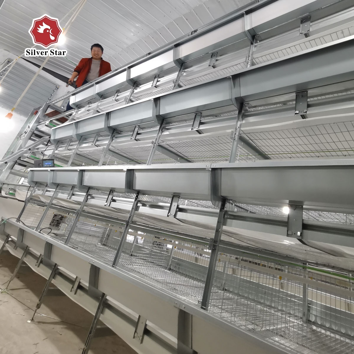 H type broiler cage/chicken cage equipment