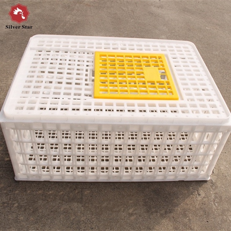 Strong Load-Bearing Plastic Poultry Quail Pigeon Transportation Cage for Sale in Philippines