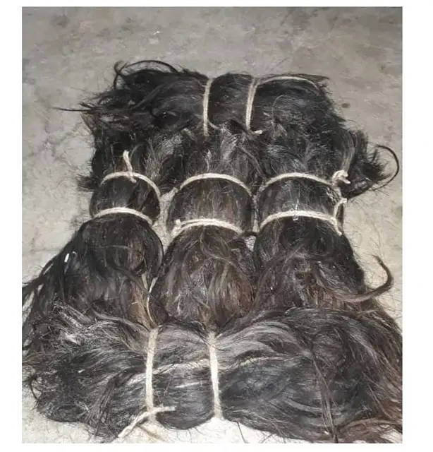 Best Quality Buffalo Tail Hair Washing Full Clear And Cow Tail Hair for Personal Firom India By Silver Craft