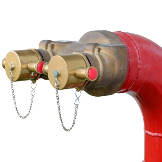 vertical inlet 2.5'' outlet Grond Dry Pillar Fire Hydrant Pillar Fire Hydrant for Fire Suppression System manufacturer in India